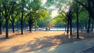 Jardin du Luxembourg Tennis