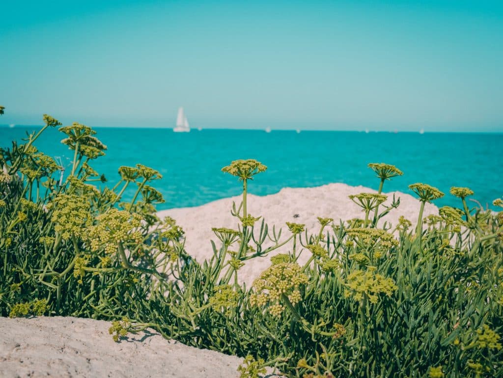 Strand und Meer Île de Ré Frankreich