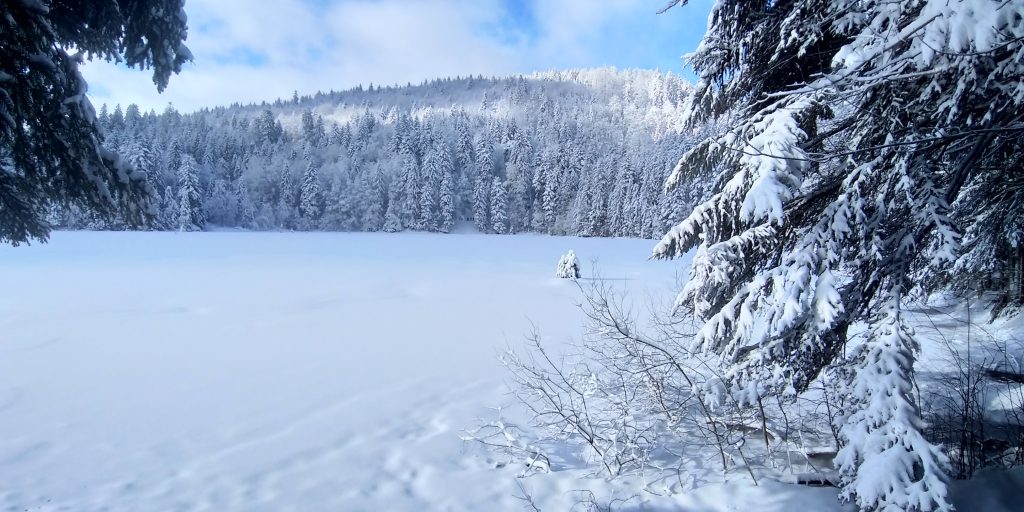 Verschneiter See